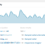 Besucherstatistik in WordPress: Datenschutzkonform