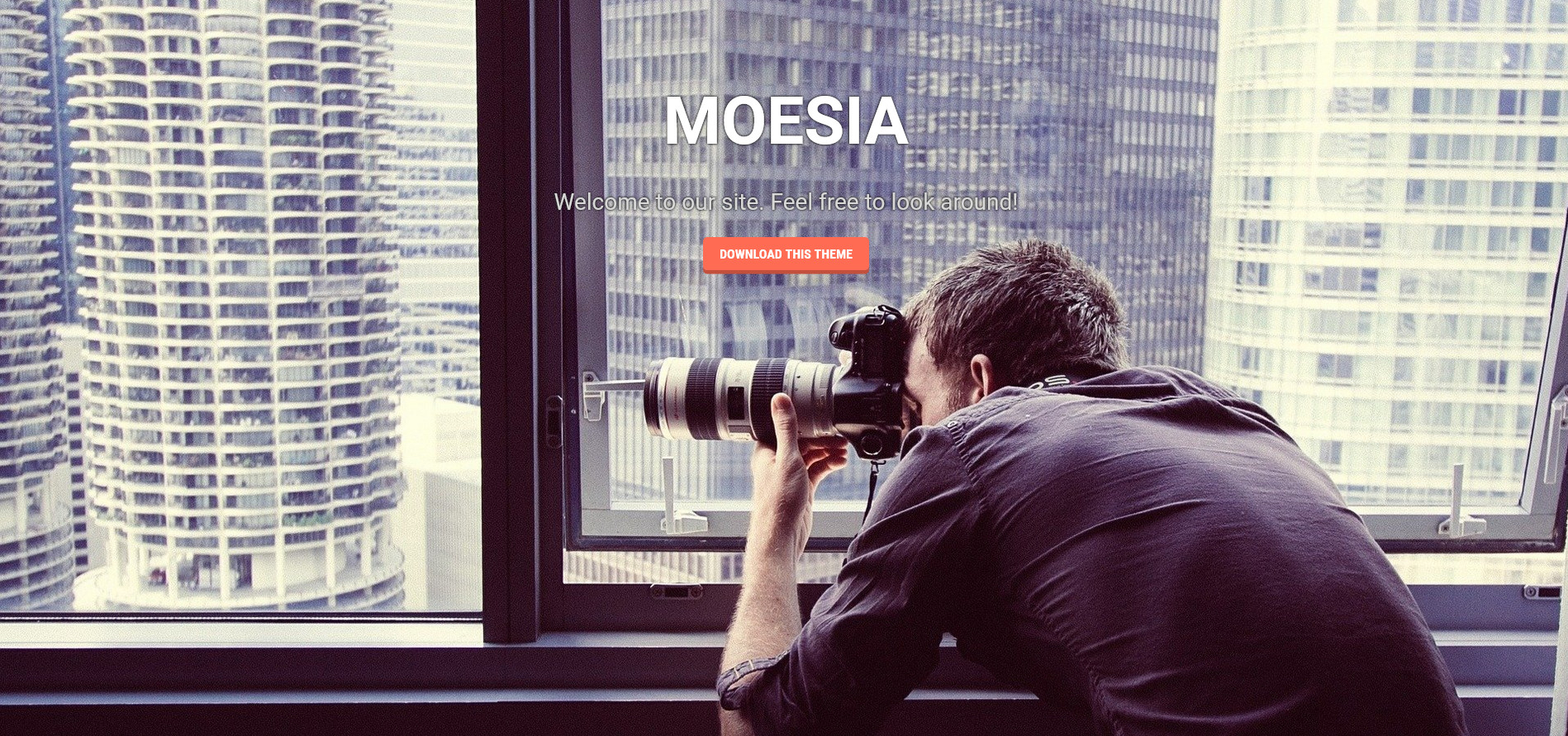WordPress Theme Moesia
