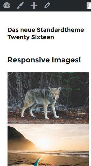 WordPress 4.4 Responsive Bilder