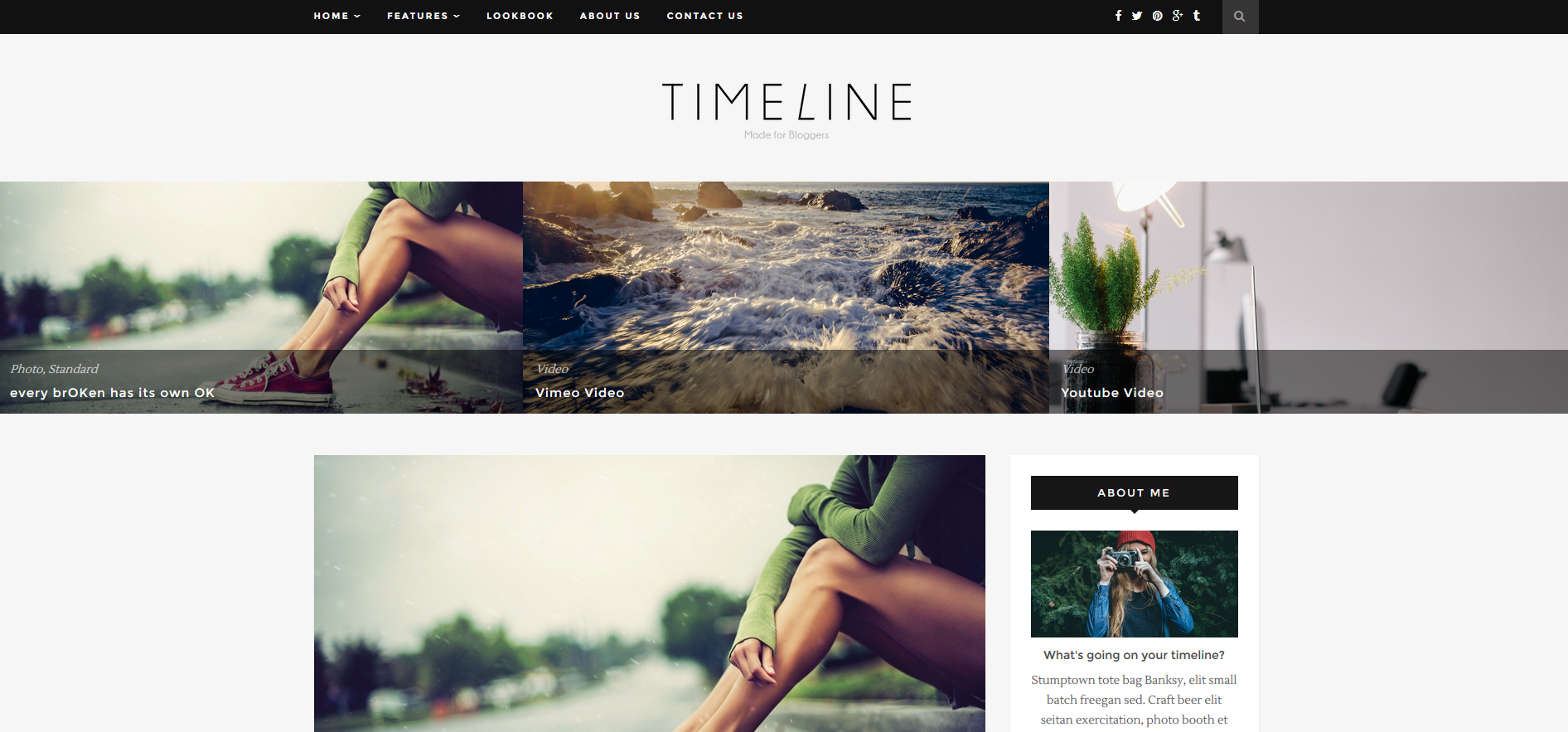 WordPress Theme Timeline