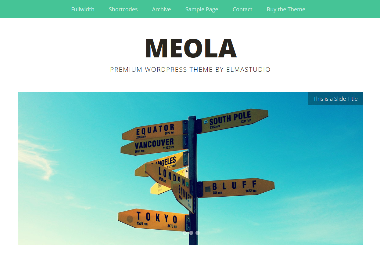 WordPress Theme Meola