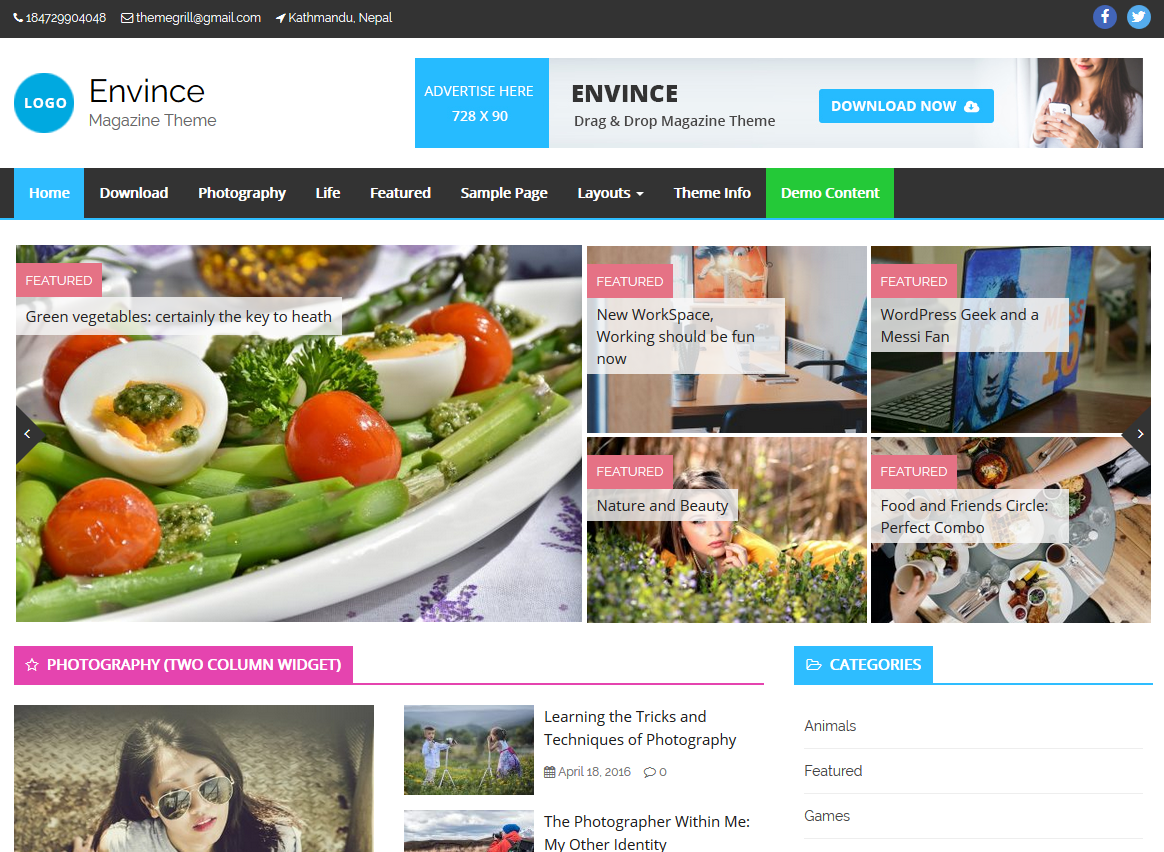 WordPress Theme Envince