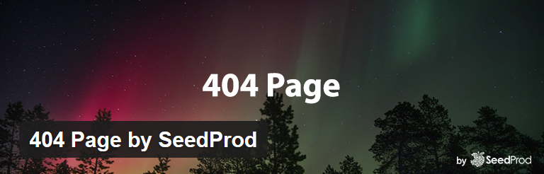 WordPress Plugin 404 Page